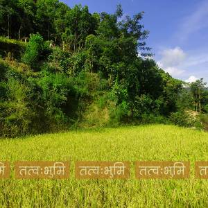 6 Ropani land for sale at Sherabahar, Nuwakot