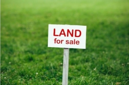 Land for sale at Durbarmarg