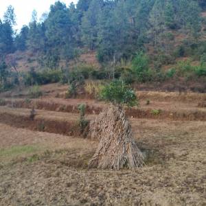 Land for sale at Lele, Near Manakamana Temple, Lalitpur