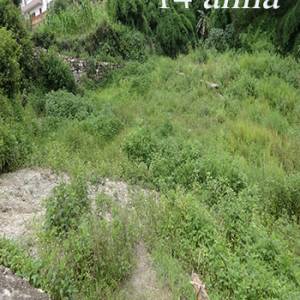Land for sale at Taulung