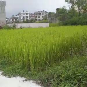 Land On Sale At Tokha, Near Grande Hospital
