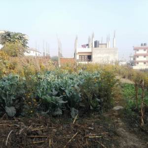 Land for sale at Imadol, Lalitpur