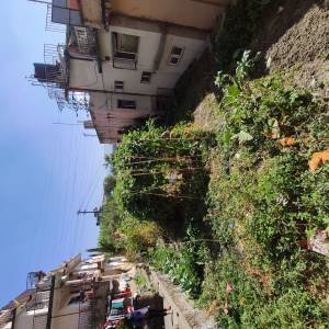 Land for sale  at Minbhawan 11 aana